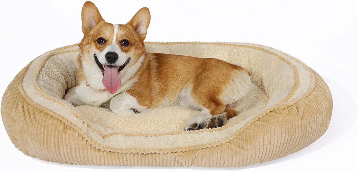 Cat Bed for Cats and Pocket Puppy | Small Size L24”X W16”| Out of the Box | Integrated Design | Cozy and Comfy | 100% Full of PP Cotton