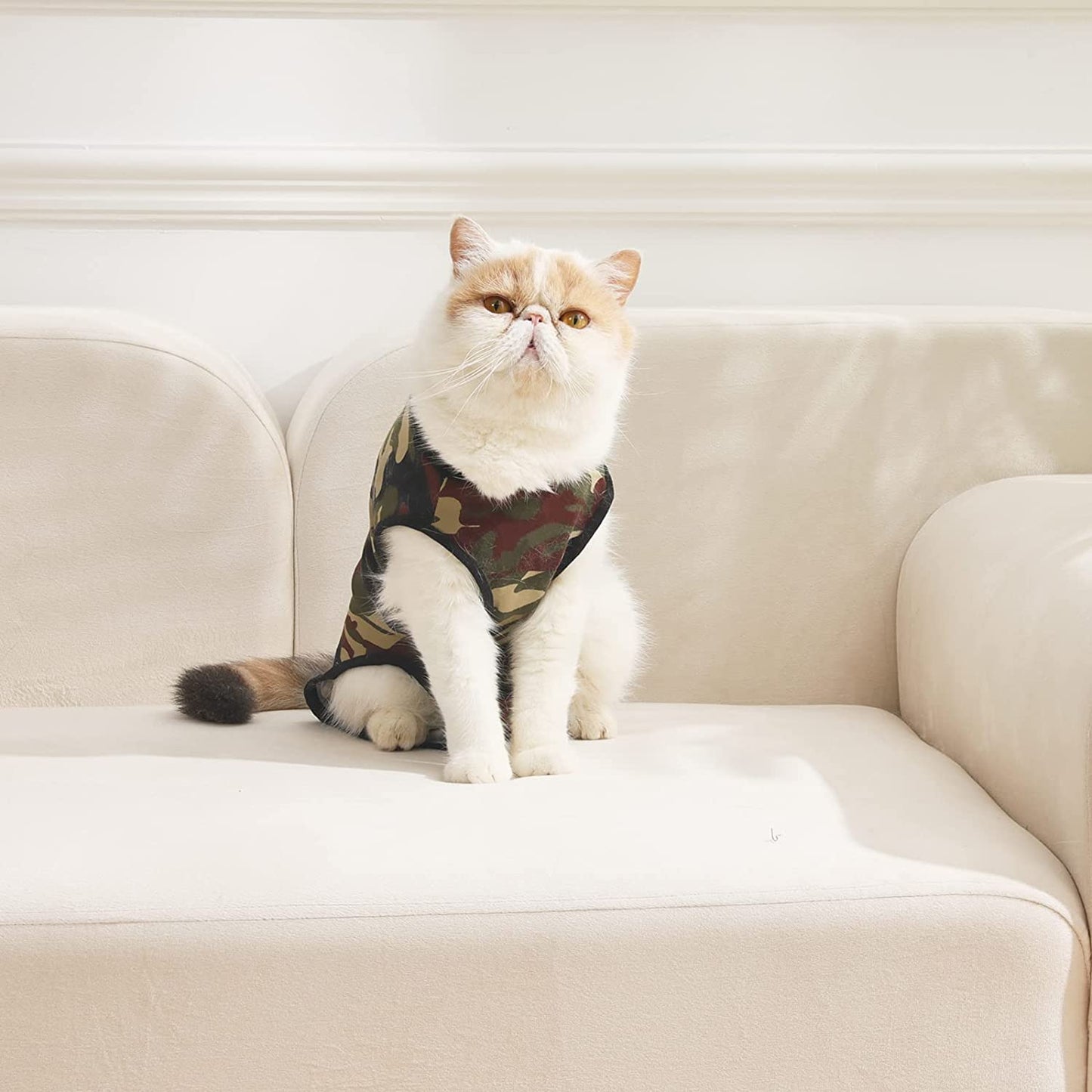 Cat Recovery Suit, Cat Bodysuit for Abdominal Wound after Surgery or Skin Diseases, Substitute E-Collar, L Size, Anti-Licking Surgical Cat Onesies, Camo.