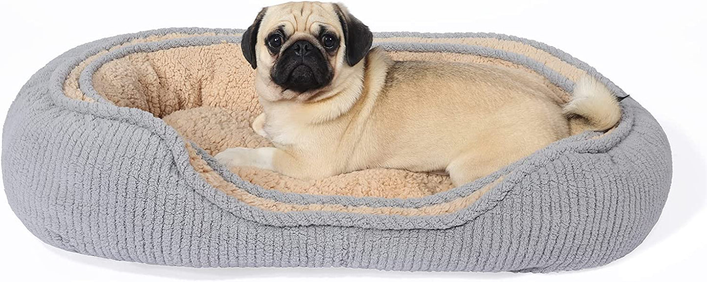 Cat Bed for Cats and Pocket Puppy | Small Size L24”X W16”| Out of the Box | Integrated Design | Cozy and Comfy | 100% Full of PP Cotton