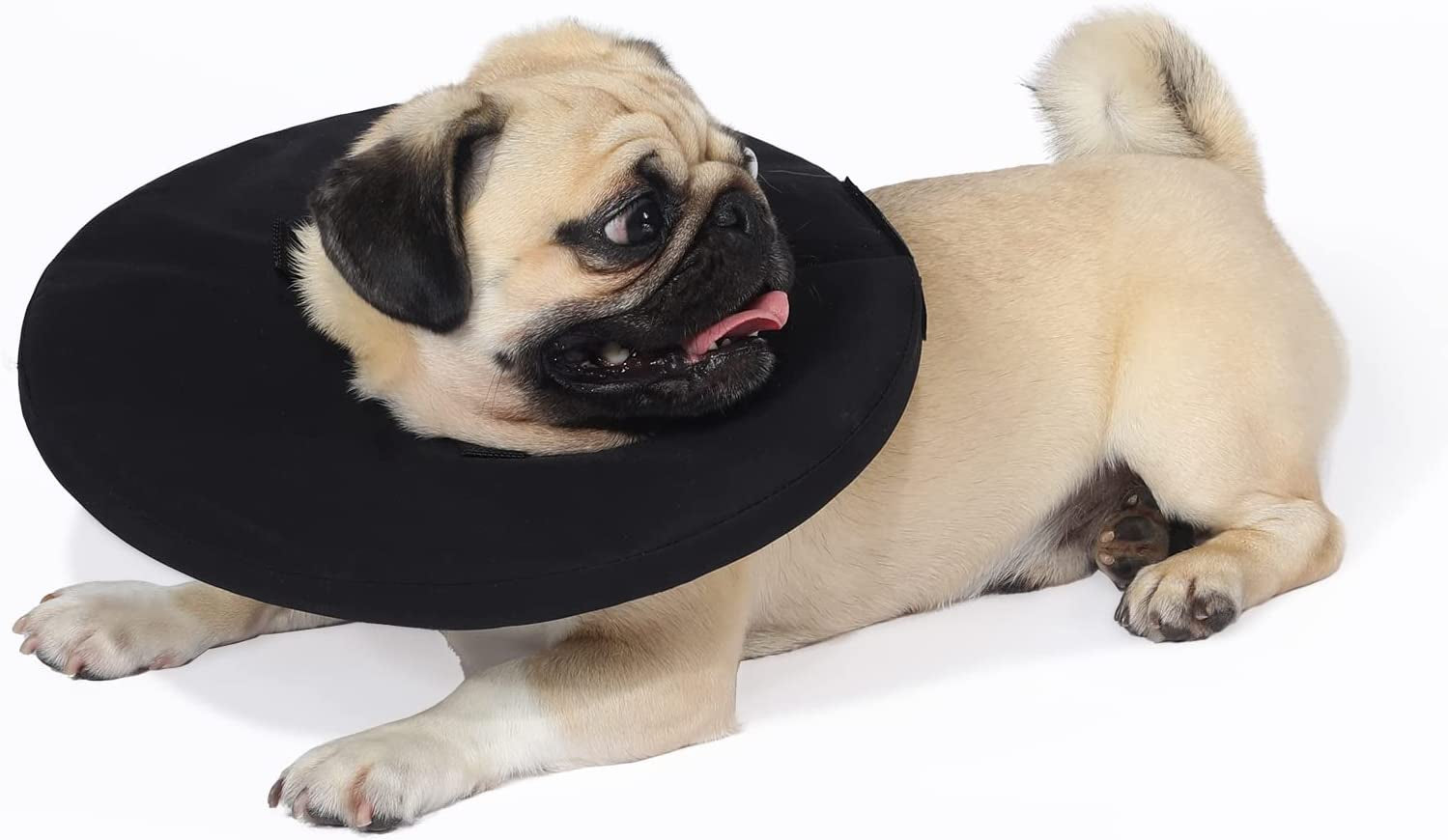 Dog Surgery Collar | Dog Cone Alternative | Useful Radius 4.3 Inch | Excellent Foam Board | Not Easy to Break Away| Soft and Comfortable Dog Recovery Collar Black